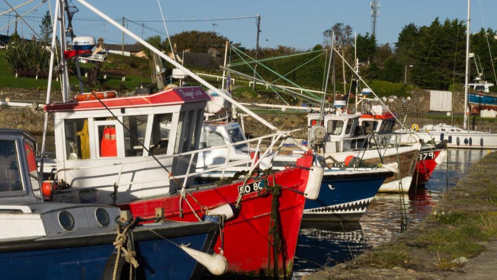 Harbour House B&B 考敦 外观 照片